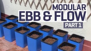 How to set up an Ebb and Flow  Flood and Drain Hydroponics Growing System  PART 1 of 6 [upl. by Ennairek]