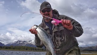 How to LEGALLY Snag Salmon in Seward Alaska [upl. by Hettie]