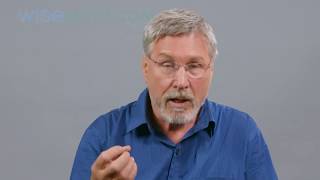 Dr Bessel van der Kolk Trauma Is [upl. by Atileda581]