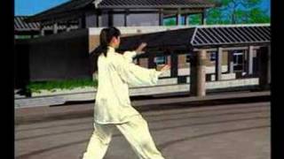 24 Simplified Tai Chi back view Demonstration [upl. by Tsyhtema296]