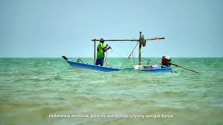 Mendukung Upaya Pengelolaan Karbon Biru untuk Melestarikan Kelautan di Indonesia [upl. by Yrahca]