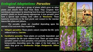 Ecological Adaptations I Epiphytes  Parasites  Plant Ecology [upl. by Ruiz]