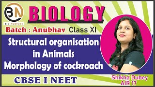 STRUCTURAL ORGANISATION IN ANIMALSMORPHOLOGY OF COCKROACH CLASS XI BIOLOGY NEET 2025 ANUBHAV [upl. by Anetsirhc]