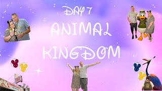 Our WDW Disneymoon Series 2023  Episode Eight  Day 7  Animal Kingdom  Tusker House  Safari [upl. by Enicnarf]