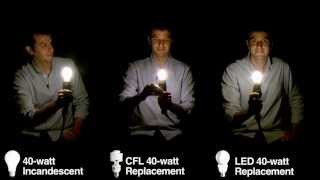 Light Bulb Lineup Comparing Incandescent Bulbs with CFLs and LEDs [upl. by Idoc]