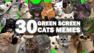 BEST 30 GREEN SCREEN CATS MEMES [upl. by Dabney]