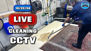 LIVE Rug Cleaning  CCTV Style cleanwithme rugwashing [upl. by Bonn498]