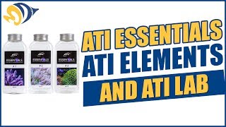 ATI Essentials ATI Elements and ATI Lab  What YOU Need to Know [upl. by Gaal]