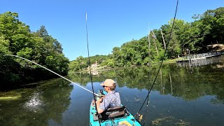 Frog Fishing is TOO EASY Lake Taneycomo [upl. by Bowerman33]