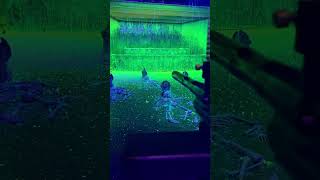 Paintball glow in the dark [upl. by Acinoed85]