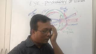 Anatomy of EyeRefractive errors and Pathophysiology of Glaucoma [upl. by Meeharbi365]