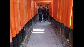 京都伏見稲荷ライブカメラ kyoto livecamera [upl. by Cheri]