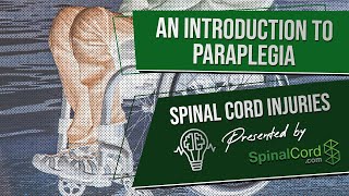 Paraplegic Definition Explained Causes Recovery Prognosis  Paraplegia  Spinal Cord Injury [upl. by Eiramait790]