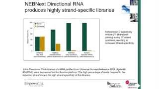 Biomek Automated NEBNext Ultra Directional RNA Library Prep Kit for Illumina [upl. by Rod]