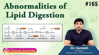 165 Abnormalities Of Lipid Digestion [upl. by Bum]