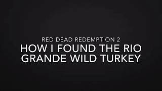 How I found the Rio Grande Wild Turkey on Red Dead Redemption 2 [upl. by Cowen]