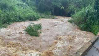 Sediments entering Lago Guayo Adjuntas PR [upl. by Eecyal768]