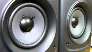 SONY SSJ570AV Speaker System [upl. by Zonda]