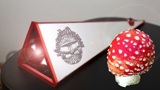 Amanita Dreamer Custom Chrysanthescope [upl. by Kern]