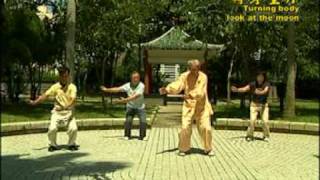 18 Chi Quong Shibashi Tai Chi Qigong 18 [upl. by Orodisi]