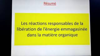 Réactions responsables de la libération de lénergie emmagasinée dans la matière organique résumé [upl. by Nerag]