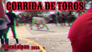 Corrida de toros en Tlacotalpan 2024  Fiestas de la Candelaria [upl. by Rosenfeld781]