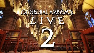 Cathedral Ambience LIVE 2  1 HOUR of Calming Pipe Organ Music for Relaxation Meditation and Sleep [upl. by Attezi]