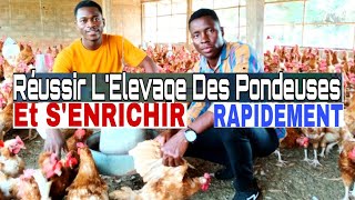 Comment Réussir un projet lélevage des poules pondeuses [upl. by Pascia881]