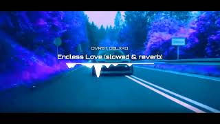 DVRST OBLXKQ  Endless Love Slowed amp Reverb [upl. by Airtemak]