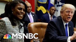 President Trump Calls Omarosa Manigault Dog Crying Lowlife In Tweet  Morning Joe  MSNBC [upl. by Shalna]