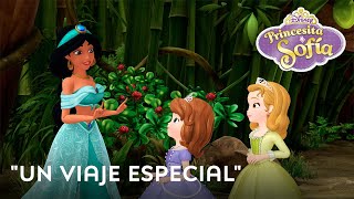 Un viaje especial Princesita Sofía  Video musical  Disney [upl. by Len]