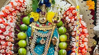 బాసరి జ్ఞాన సరస్వతి దేవి ఆరాధన  Goddess Saraswathi Devi Pooja  Swamiji Syamalanadhanadha [upl. by Nossaj]