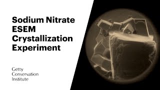 Sodium Nitrate ESEM Crystallization Experiment [upl. by Amairam631]