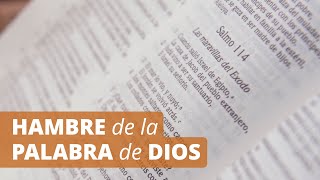 Descubre la Biblia  Estudia con nosotros [upl. by Eimiaj948]