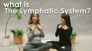 What is the Lymphatic System [upl. by Fugazy278]