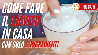 LIEVITO ISTANTANEO FATTO IN CASA con 2 INGREDIENTI  LIEVITATI SENZA GLUTINE Ep15  VivoGlutenFree [upl. by Enutrof]