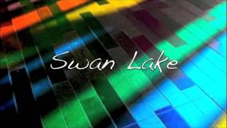 Swan Lake Remix [upl. by Lerrej682]