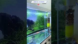 best power filter for aquarium fish tank power filter setup Aquarium Shop In Ahmedabad shorts fish [upl. by Aldwon]