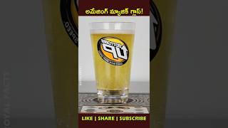 Beers🍻 from the bottom uphow factsintelugu youtubeshorts shortvideo [upl. by Nnyluqcaj18]