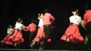 Mestizos Del Valle  Folklorico Polkas de Chihuahua La Gallinita [upl. by Monia]