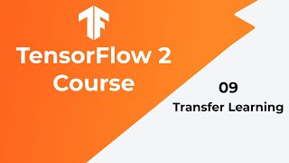 TensorFlow Tutorial 09  Transfer Learning [upl. by Aynna]