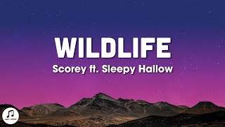 Scorey  Wildlife Lyrics ft Sleepy Hallow [upl. by Chader]