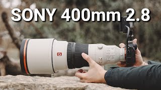 12000 for a Sony lens Sony 400mm f28 GM for wildlife portraits and film makers [upl. by Alix]