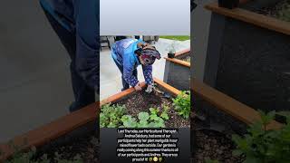 Our Horticultural Therapist Andrea Salsbury had some of our participants help her plant marigolds [upl. by Saba]