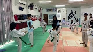 Zainab Taekwondo Upgrading Blue Tip to Blue Belt [upl. by Akirehs236]