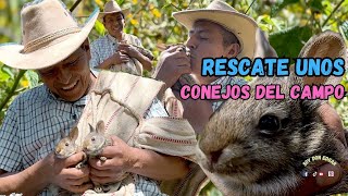 RESCATE unos CONEJOS BEBÉS del monte estaban solos  No podía dejarlos😢 [upl. by Meagher]