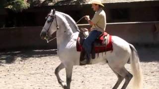 SAN MIGUEL TECOMATLAN EDO DE MEXICOCABALLOS CHARROS [upl. by Balthazar]