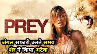 Prey 2007 Movie Explain in Hindi  Lion Attack Movie Explained in Hindi [upl. by Copp397]