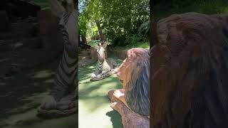 Walter Sisulu Botanical Garden viralshorts viralvideos [upl. by Eniamej]