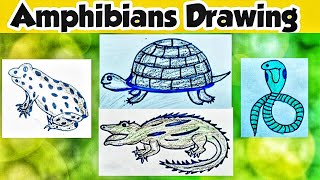 AMPHIBIANS ANIMALS DRAWING  AMPHIBIANS DRAWING  DRAWING OF AMPHIBIANS [upl. by Gio]